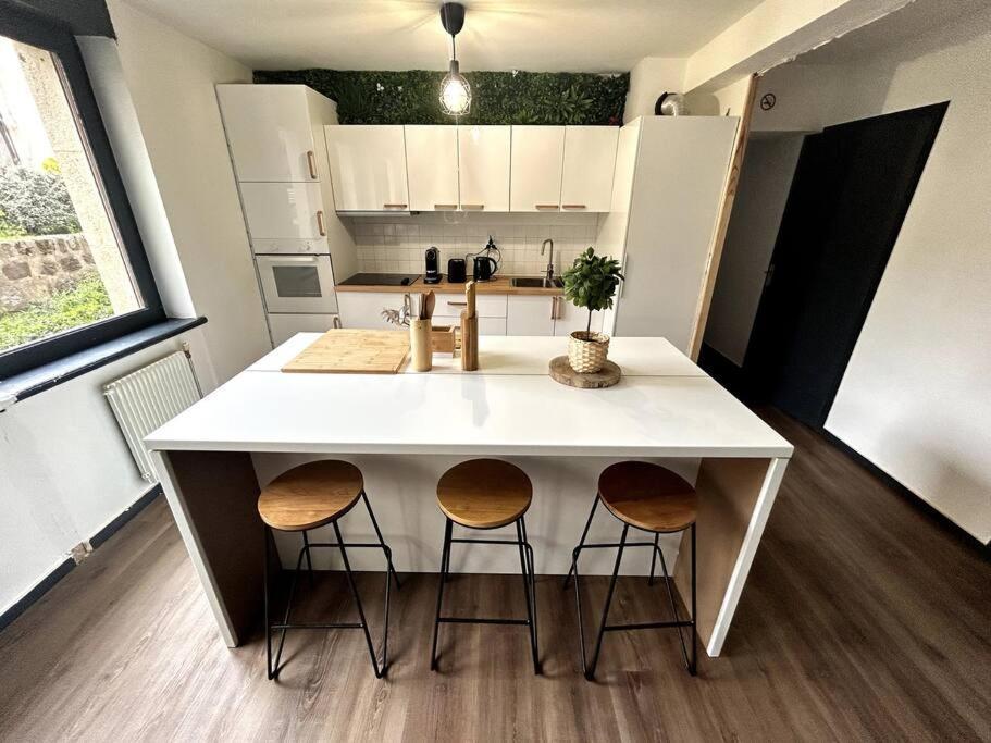 Le Puy En Velay - Appartement Grand Confort Exterior foto